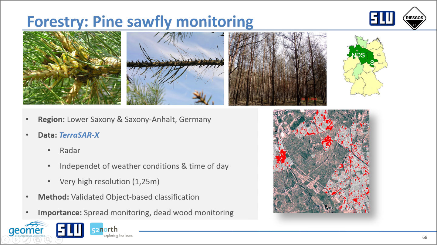Extracto de las diapositivas del taller de la SLU sobre silvicultura (derechos de imagen: DLR, SLU)